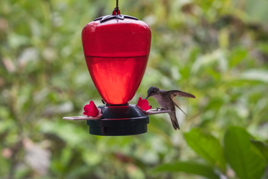 Weatherproof Bird Feeders