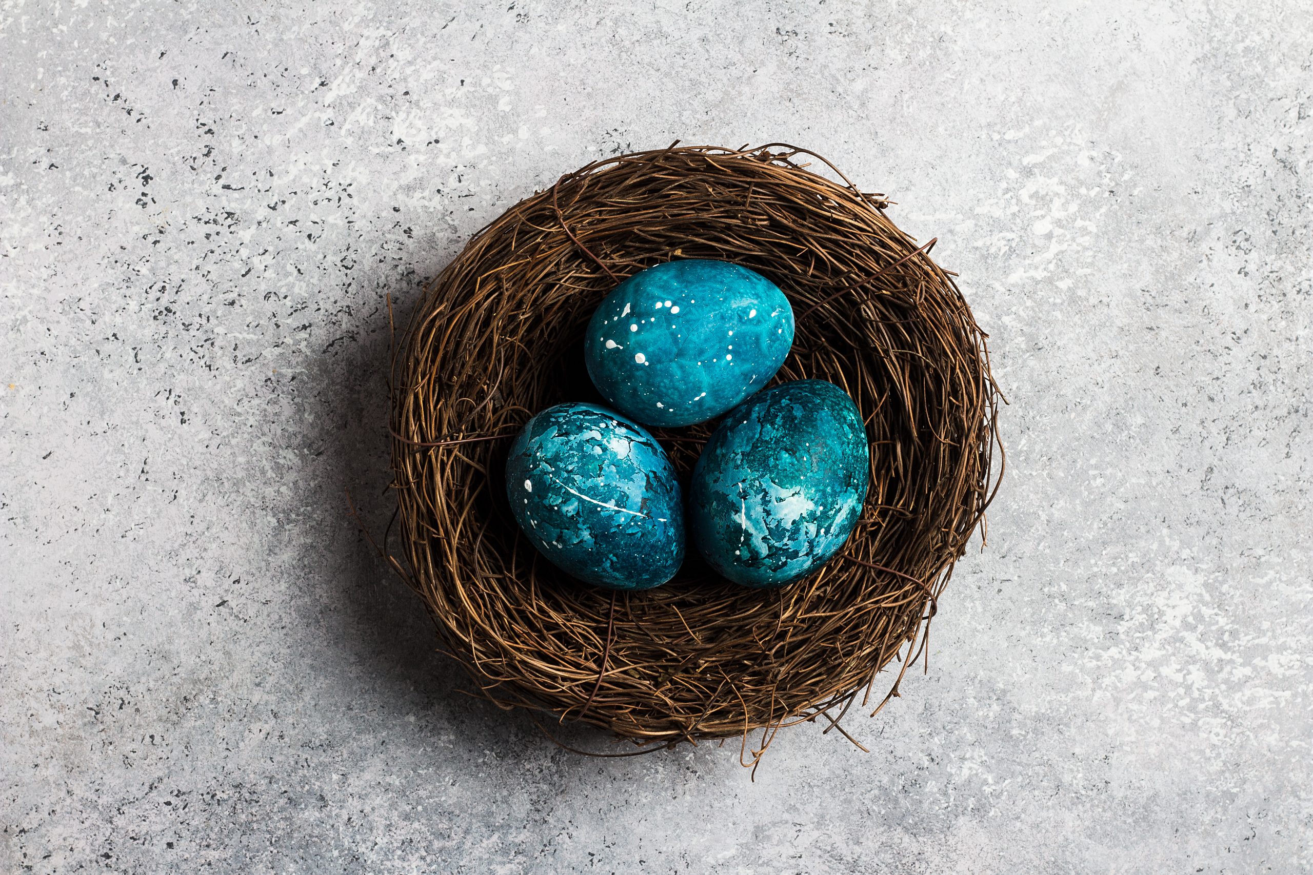 Blue Hummingbird Eggs